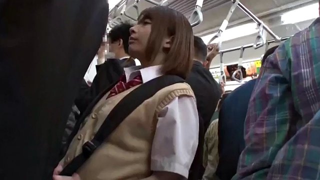 JAV TRAIN