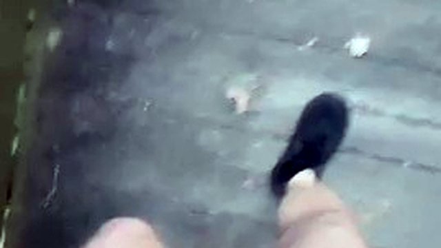 Sono andato a fare una passeggiata nudo