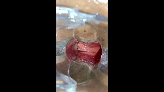 beautiful latina masturbates her big ass with a speculum