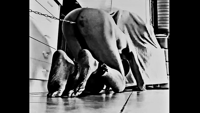 A real BDSM slave cleans the floor, shackled by his buttocks, on the orders of his cruel Mistress. video Slave-K001