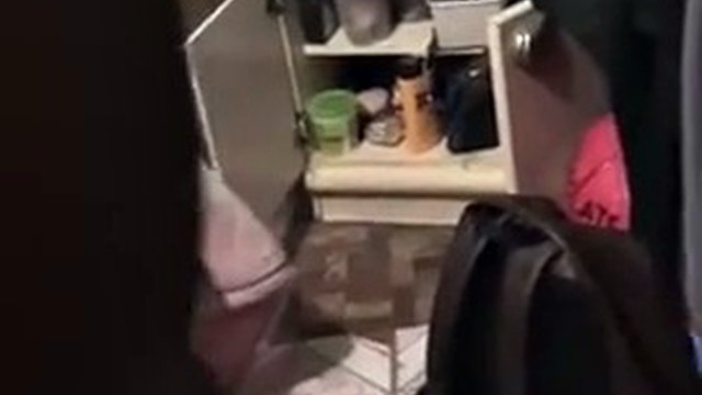 Arab BJ