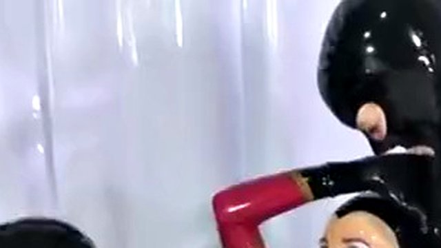The world of latex rubber