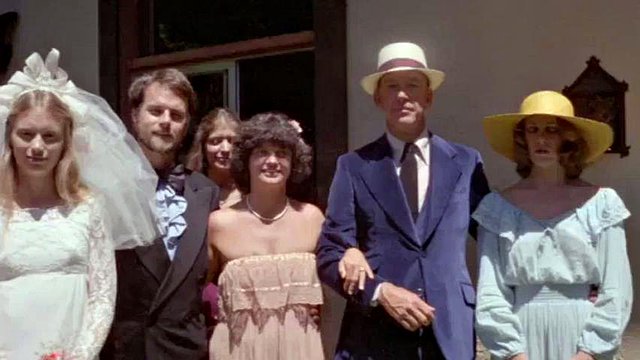 Wedding Party: Vintage, Orgy & Groupsex Porn