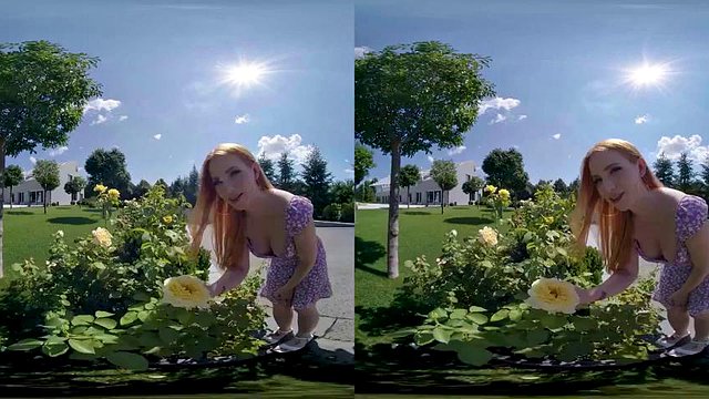 kiss: Blowjob, Babe & Blonde VR Porn