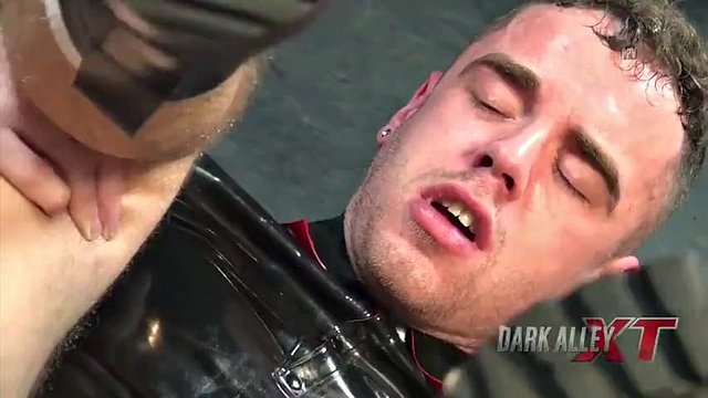 Cochon en cuir baise le cochon en caoutchouc